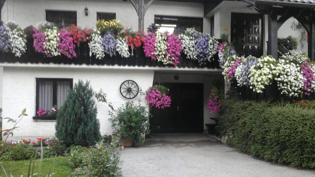 Apartamento Sobe Tanja Podbrdo Exterior foto
