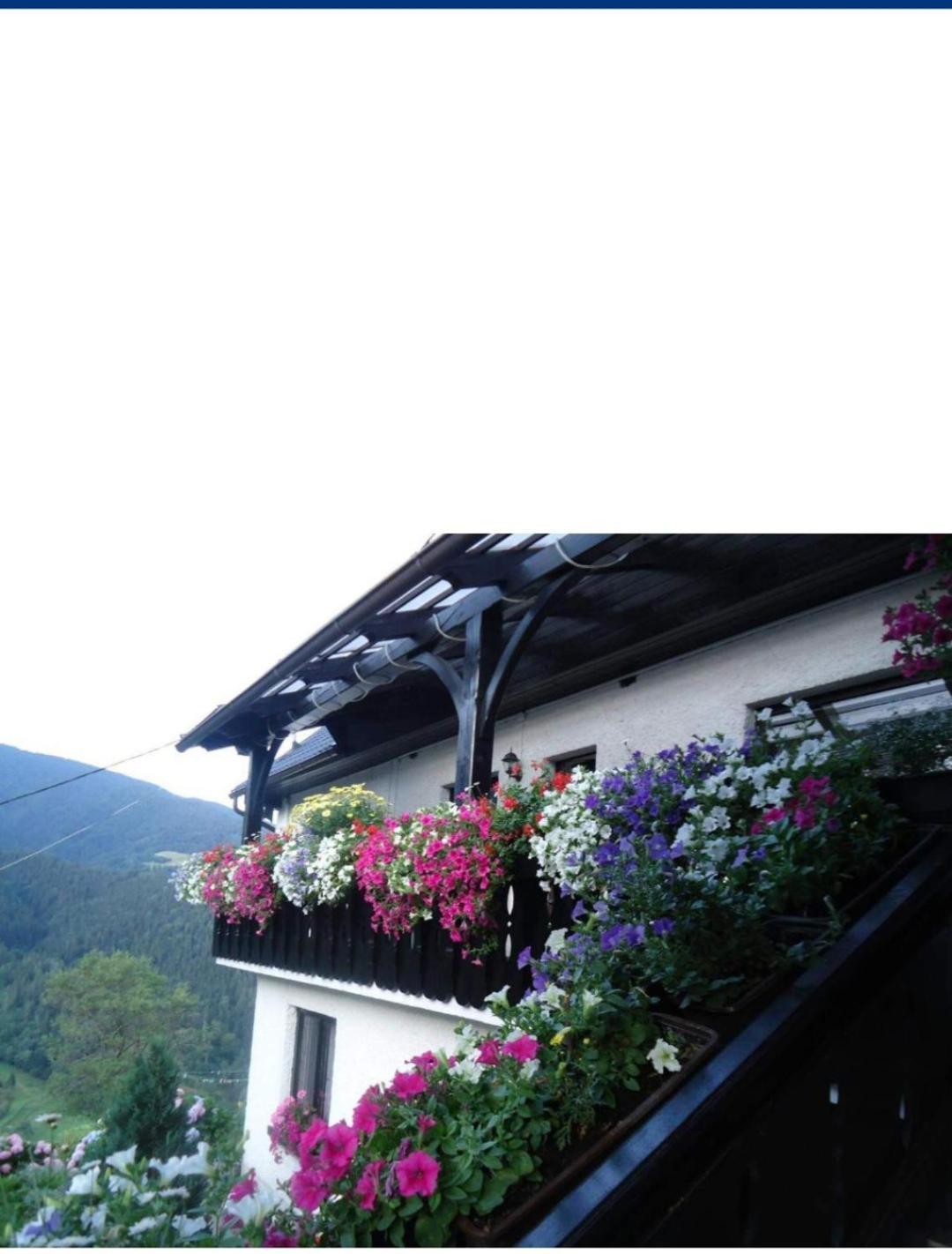 Apartamento Sobe Tanja Podbrdo Exterior foto